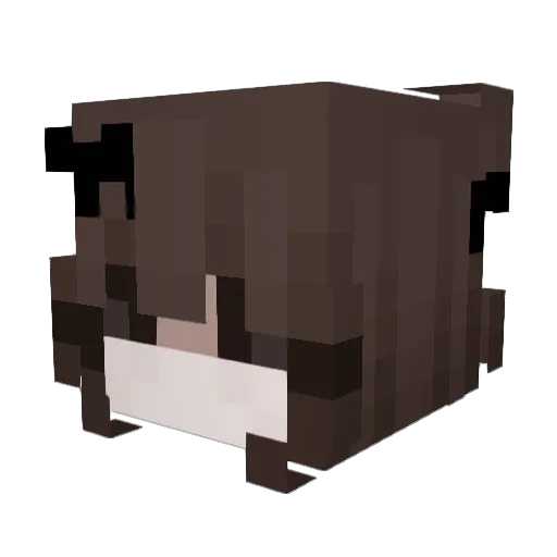 skeletonxox Minecraft avatar head, 3D render