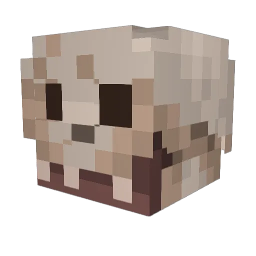 skeletorrrrr Minecraft avatar head, 3D render