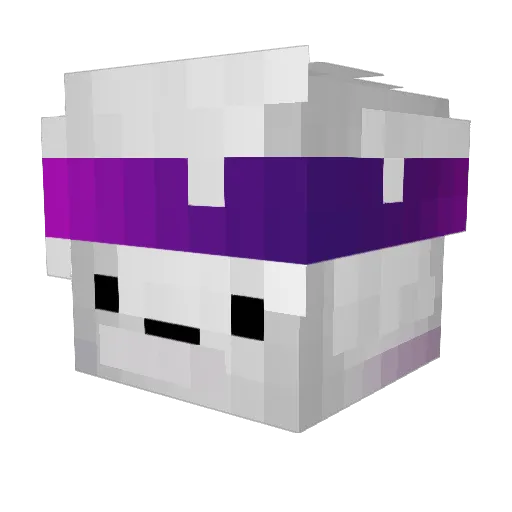 skeli_boy Minecraft avatar head, 3D render