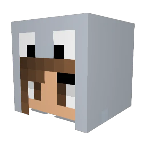 skellie2003 Minecraft avatar head, 3D render