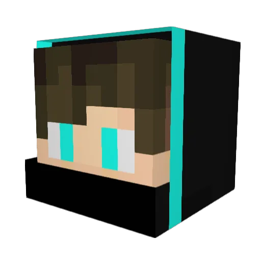 skelltonboy Minecraft avatar head, 3D render