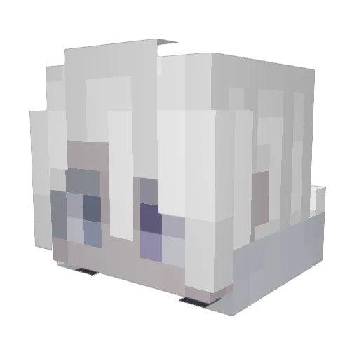 skellyfishes Minecraft avatar head, 3D render