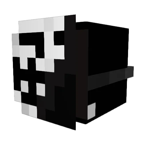 skeltns Minecraft avatar head, 3D render