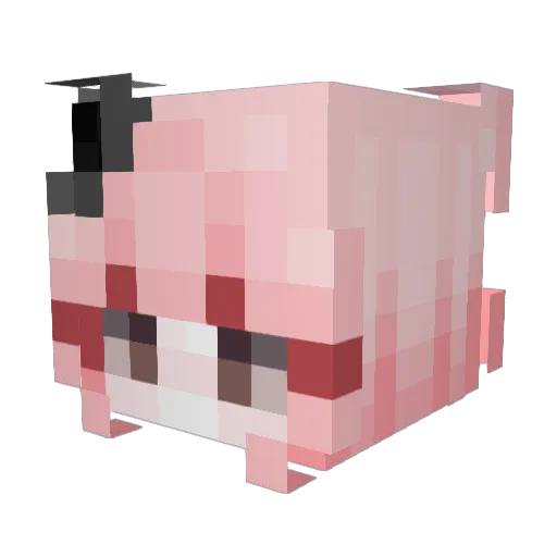 skelzomz Minecraft avatar head, 3D render
