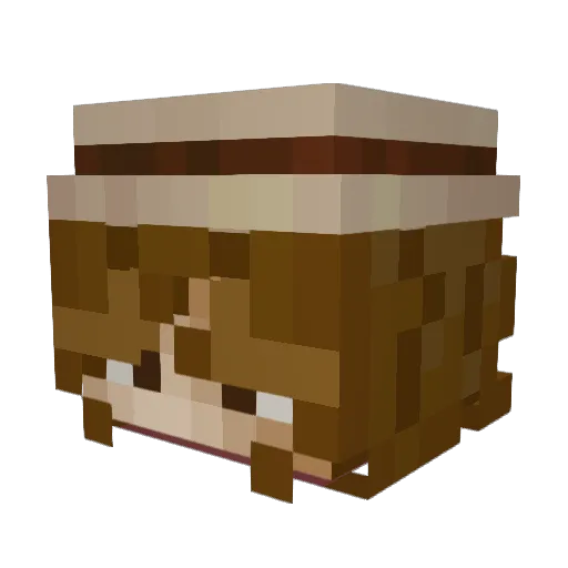 skemopy Minecraft avatar head, 3D render