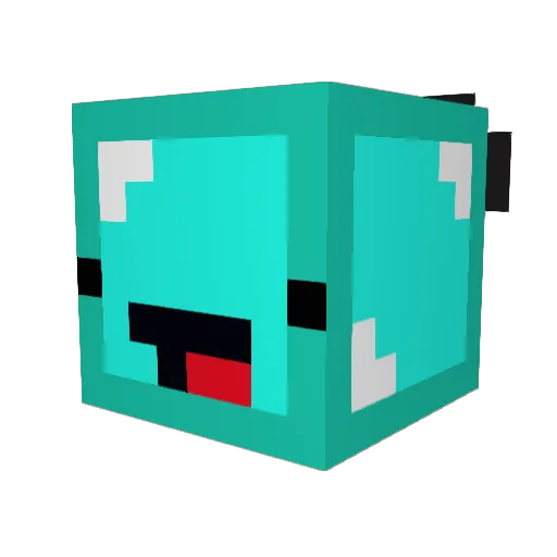 skeppys_roomate Minecraft avatar head, 3D render