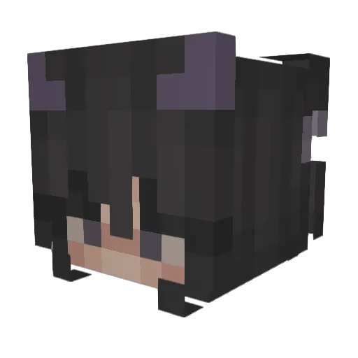 skeppysdisc Minecraft avatar head, 3D render