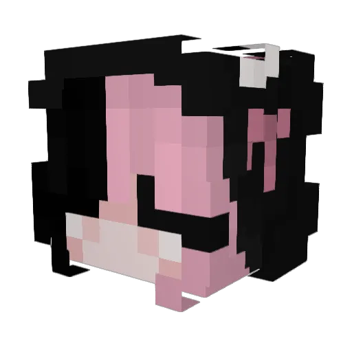 skeptacore Minecraft avatar head, 3D render