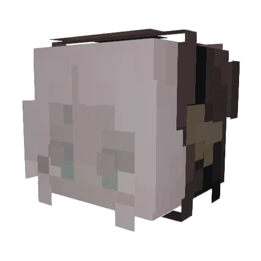 skepwmek Minecraft avatar head, 3D render