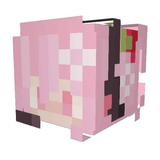 sketchyskunk Minecraft avatar head, 3D render