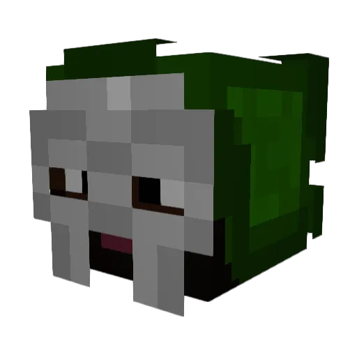 skibidigecko69 Minecraft avatar head, 3D render