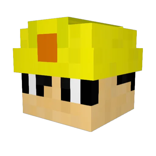 skiboy941 Minecraft avatar head, 3D render