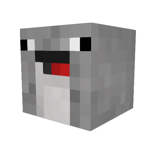 skibum1234 Minecraft avatar head, 3D render