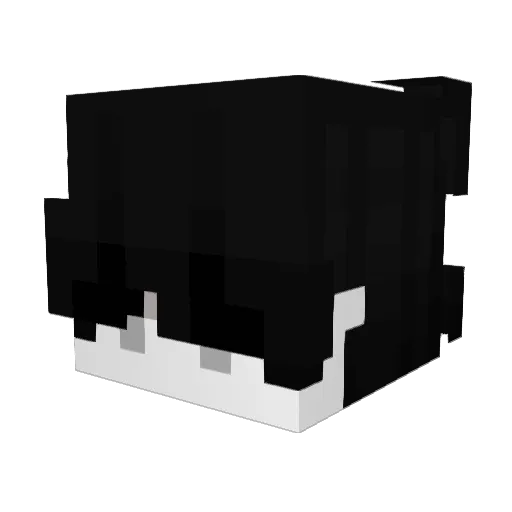 skid Minecraft avatar head, 3D render