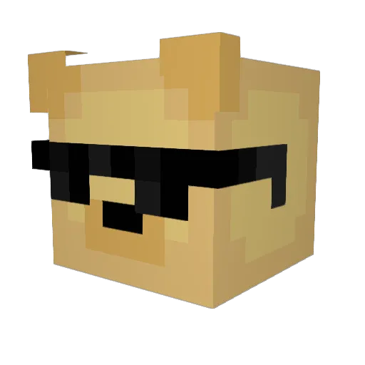 skidaddly Minecraft avatar head, 3D render