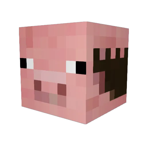 skiescross Minecraft avatar head, 3D render