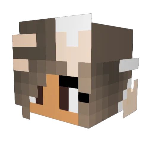 skigirl678 Minecraft avatar head, 3D render