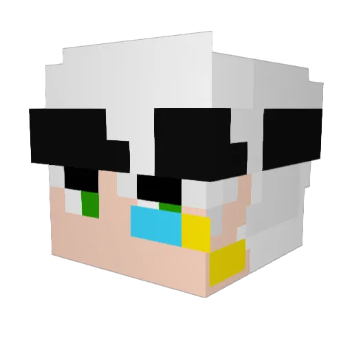 skiiiteeeer Minecraft avatar head, 3D render