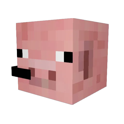 skiing247 Minecraft avatar head, 3D render