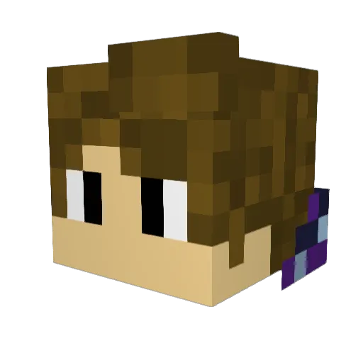 skillplayer12 Minecraft avatar head, 3D render
