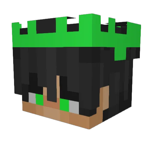 skilyyy Minecraft avatar head, 3D render