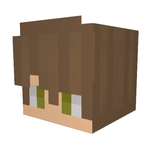skilzypadden Minecraft avatar head, 3D render