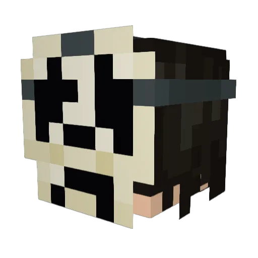 skindecay Minecraft avatar head, 3D render