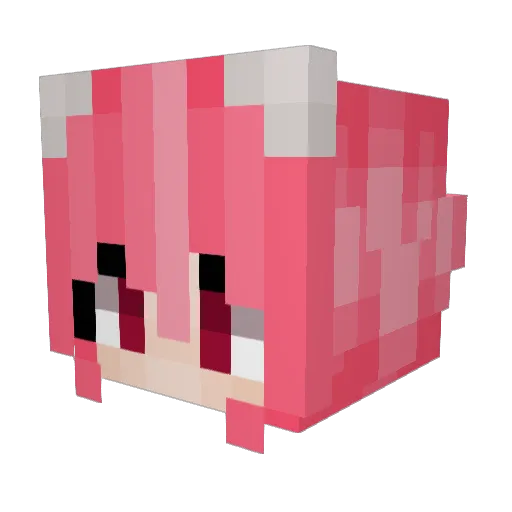 skins222 Minecraft avatar head, 3D render