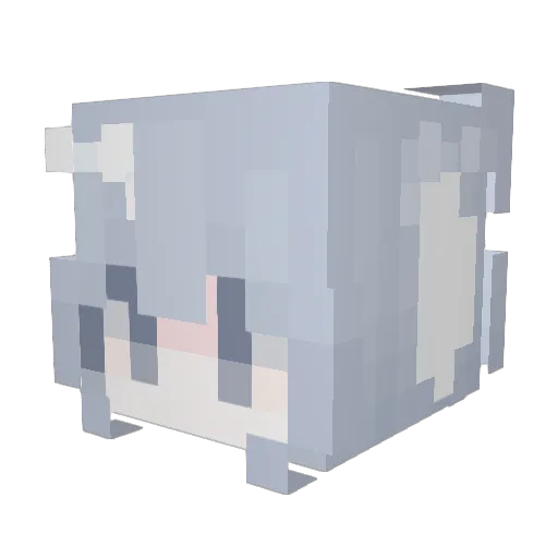 skins5 Minecraft avatar head, 3D render