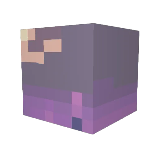 skip4play4 Minecraft avatar head, 3D render