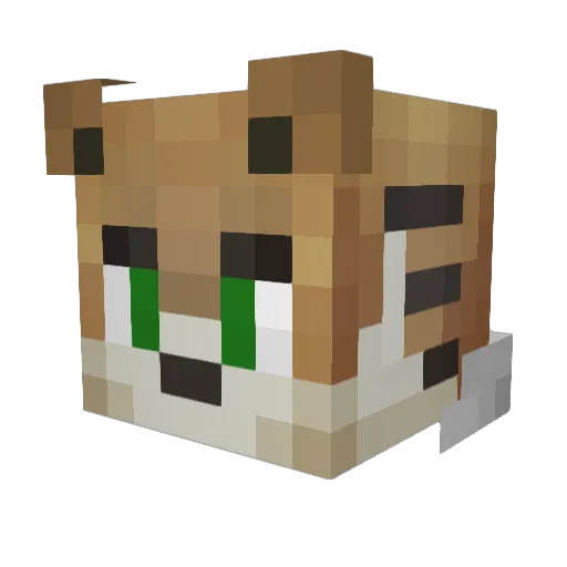 skipeur Minecraft avatar head, 3D render