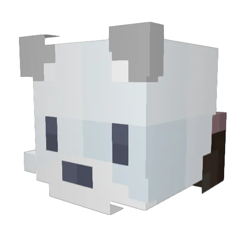 skippavnut Minecraft avatar head, 3D render
