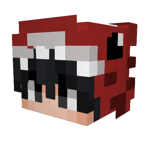 skippy2012 Minecraft avatar head, 3D render