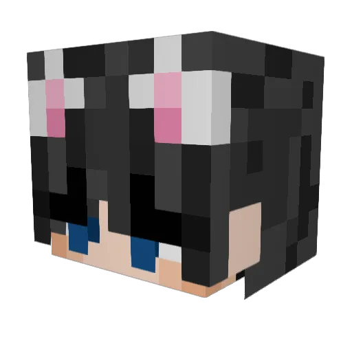 skipxo Minecraft avatar head, 3D render