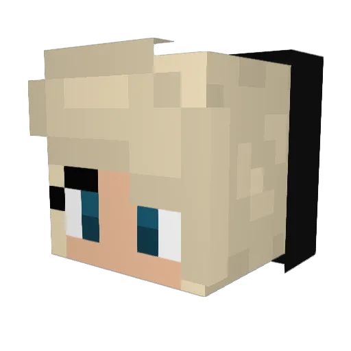 skite2001 Minecraft avatar head, 3D render