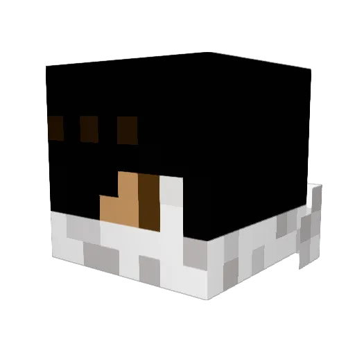 skittifink Minecraft avatar head, 3D render