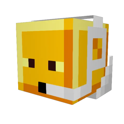 skittles1217 Minecraft avatar head, 3D render
