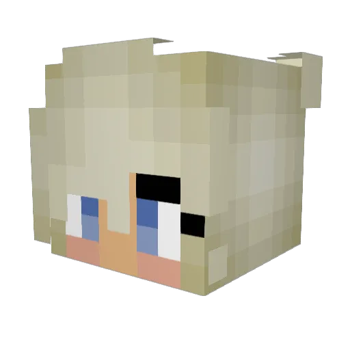 skittles247 Minecraft avatar head, 3D render