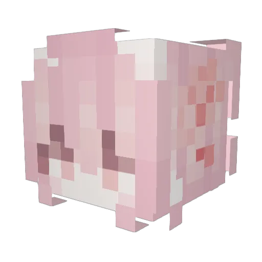 skittlesssz Minecraft avatar head, 3D render