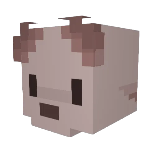 skjjang Minecraft avatar head, 3D render