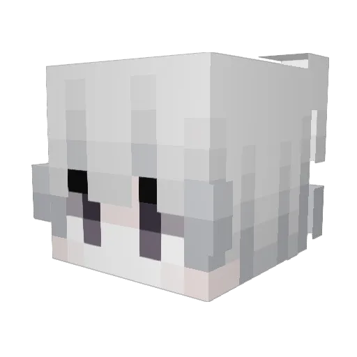 skjkd Minecraft avatar head, 3D render