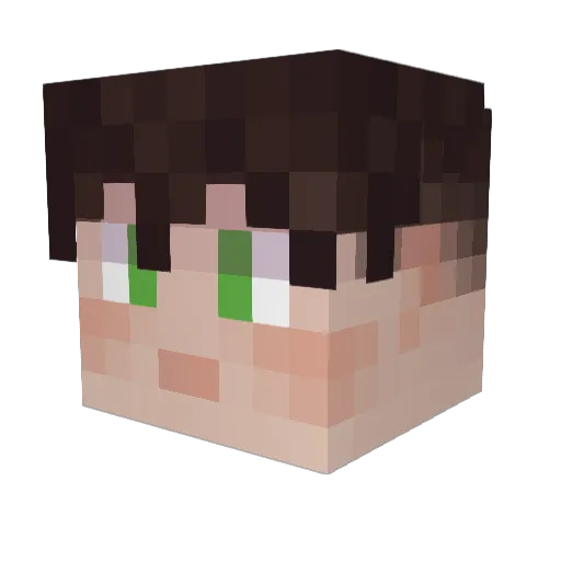 skjon Minecraft avatar head, 3D render