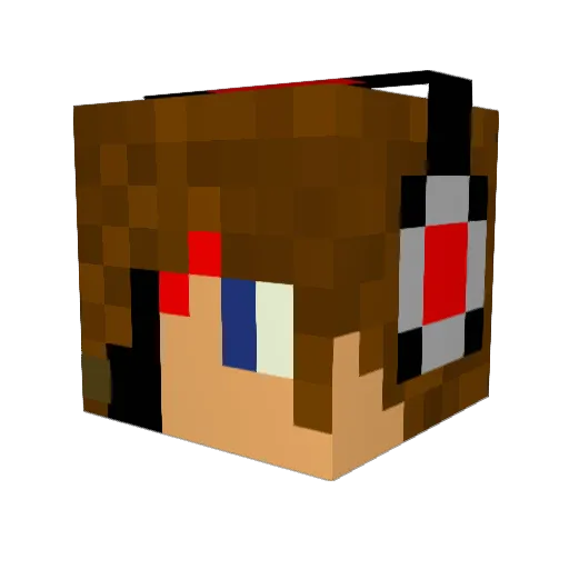 sklandersfan9 Minecraft avatar head, 3D render