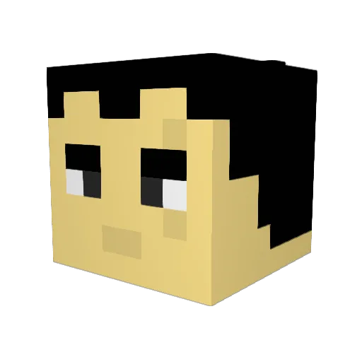 skleb24 Minecraft avatar head, 3D render