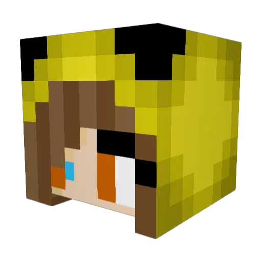 skofaan Minecraft avatar head, 3D render