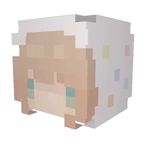 skoints Minecraft avatar head, 3D render