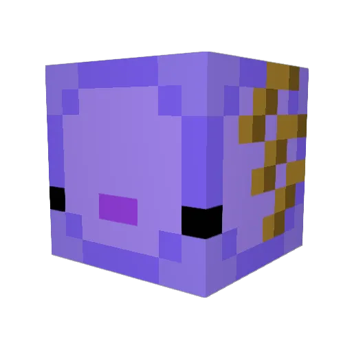 skont1004 Minecraft avatar head, 3D render
