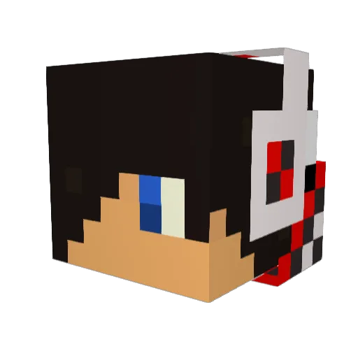 skoog4life Minecraft avatar head, 3D render