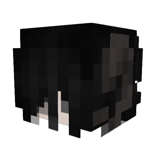 skopeo_ Minecraft avatar head, 3D render