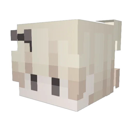 skopice Minecraft avatar head, 3D render